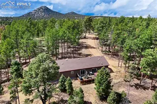 858 Fossil Creek Rd, Florissant, CO 80816 - Photo 47