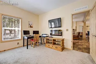 858 Fossil Creek Rd, Florissant, CO 80816 - Photo 29