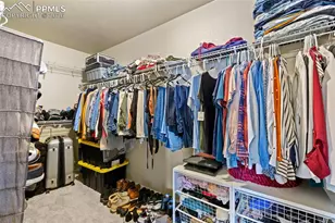 3141 Wild Peregrine View, Colorado Springs, CO 80916 - Photo 21