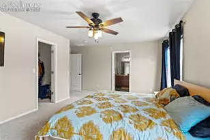 3141 Wild Peregrine View, Colorado Springs, CO 80916 - Photo 19