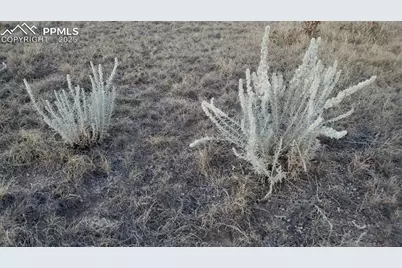 6270 Wind Spirit Circle, Fountain, CO 80817 - Photo 3