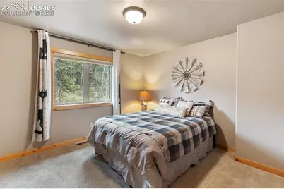 133 Elk Grove Lane, Woodland Park, CO 80863 - Photo 19