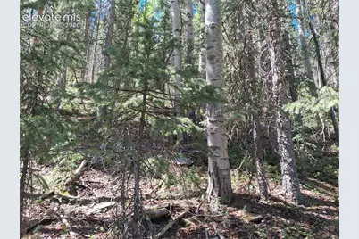 2462 Anges Drive, Cripple Creek, CO 80813 - Photo 1