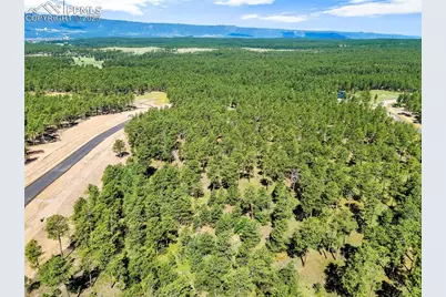 14310 Allen Ranch Road, Colorado Springs, CO 80908 - Photo 5