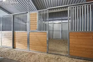 1910 Wildhorn Rd, Florissant, CO 80816 - Photo 37