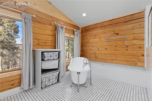 1910 Wildhorn Rd, Florissant, CO 80816 - Photo 19