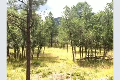 667 Silver Oak Grove, Colorado Springs, CO 80906 - Photo 7