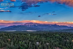 78 Barr Lake Cir, Divide, CO 80814 - Photo 27