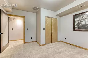 78 Barr Lake Cir, Divide, CO 80814 - Photo 43