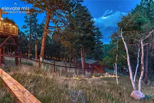 78 Barr Lake Cir, Divide, CO 80814 - Photo 49