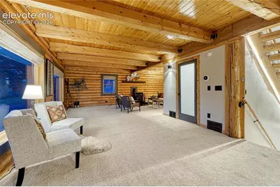 78 Barr Lake Circle, Divide, CO 80814 - Photo 39