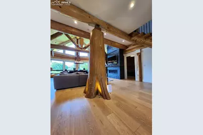 9297 Chipita Park Road, Cascade, CO 80809 - Photo 7