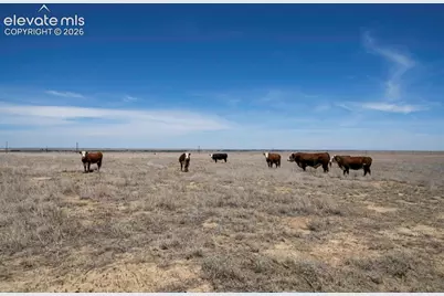 33973 County Road Aa, La Junta, CO 81050 - Photo 11