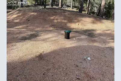 162 Eagle Drive, Divide, CO 80813 - Photo 7