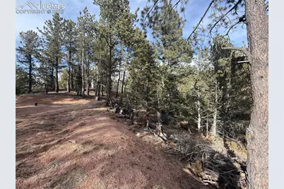 162 Eagle Drive, Divide, CO 80813 - Photo 5