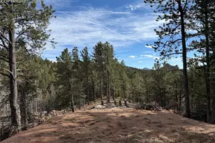 162 Eagle Dr, Divide, CO 80813 - Photo 1