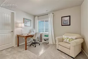 11347 Rill Pt, Colorado Springs, CO 80921 - Photo 31