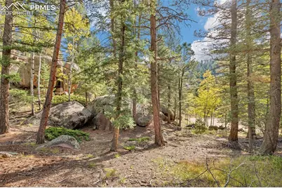 926 Pinon Lane, Florissant, CO 80816 - Photo 7