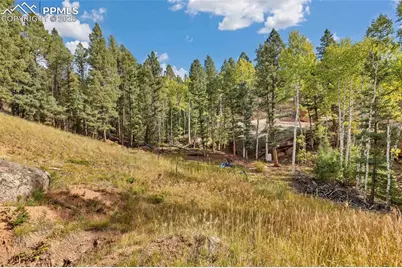 926 Pinon Lane, Florissant, CO 80816 - Photo 11