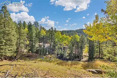 926 Pinon Lane, Florissant, CO 80816 - Photo 9