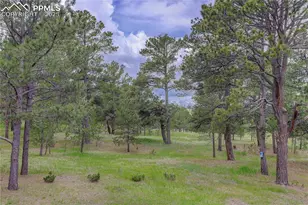 14810 Herring Rd, Colorado Springs, CO 80908 - Photo 13