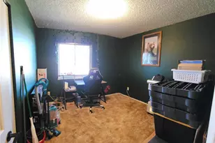 1555 Luna Vista St, Colorado Springs, CO 80911 - Photo 17