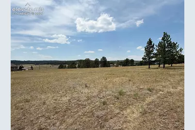 378 High Pasture Road, Florissant, CO 80816 - Photo 39