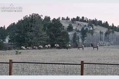 378 High Pasture Road, Florissant, CO 80816 - Photo 37