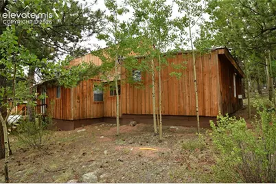 3800 Doe Valley Road, Guffey, CO 80820 - Photo 11