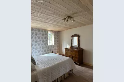 3800 Doe Valley Road, Guffey, CO 80820 - Photo 19