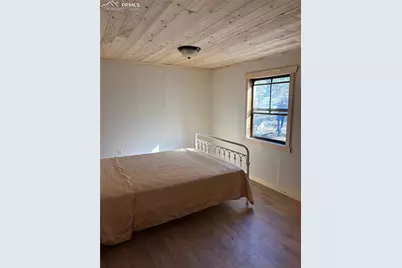 3800 Doe Valley Road, Guffey, CO 80820 - Photo 17