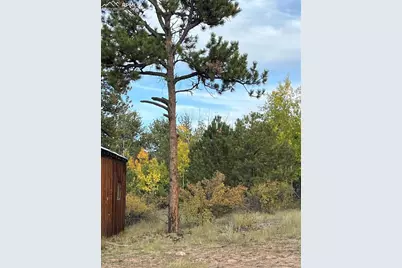 3800 Doe Valley Road, Guffey, CO 80820 - Photo 33