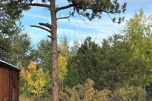 3800 Doe Valley Rd, Guffey, CO 80820 - Photo 33