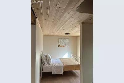 3800 Doe Valley Road, Guffey, CO 80820 - Photo 21