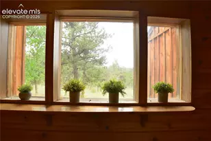 3800 Doe Valley Rd, Guffey, CO 80820 - Photo 37