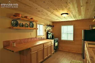 3800 Doe Valley Rd, Guffey, CO 80820 - Photo 21