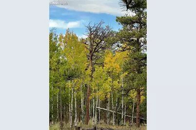 3800 Doe Valley Road, Guffey, CO 80820 - Photo 41