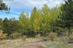 3800 Doe Valley Rd, Guffey, CO 80820 - Photo 35