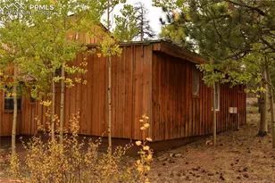 3800 Doe Valley Rd, Guffey, CO 80820 - Photo 7