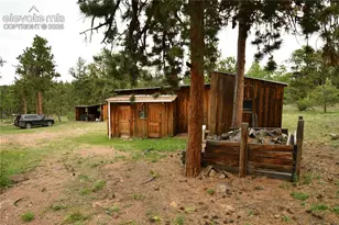 3800 Doe Valley Rd, Guffey, CO 80820 - Photo 19