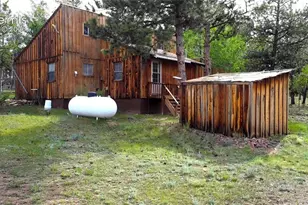 3800 Doe Valley Rd, Guffey, CO 80820 - Photo 1