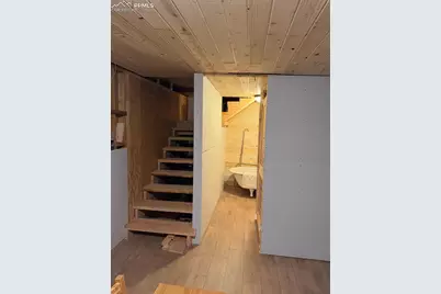 3800 Doe Valley Road, Guffey, CO 80820 - Photo 43