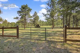 8310 Windfall Way, Colorado Springs, CO 80908 - Photo 45