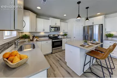 8230 Lemon Grass Road, Falcon, CO 80831 - Photo 3