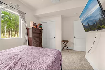 114 Homestead Lane, Florissant, CO 80816 - Photo 29