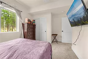 114 Homestead Ln, Florissant, CO 80816 - Photo 29