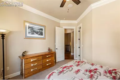 1484 Masters Drive, Woodland Park, CO 80863 - Photo 19