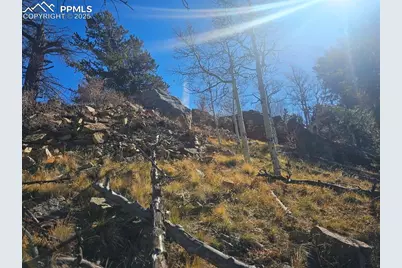 5585 Middle Fork Vista, Fairplay, CO 80440 - Photo 5