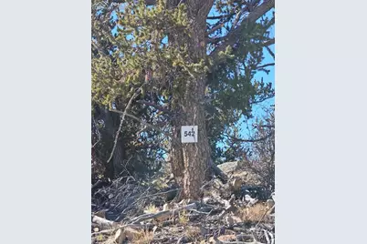 5585 Middle Fork Vista, Fairplay, CO 80440 - Photo 3