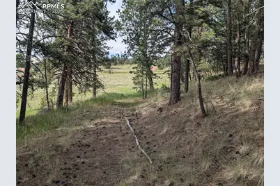 1379 S Mountain Estates Road, Florissant, CO 80816 - Photo 1